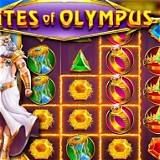 6z bet gates of olympus slot